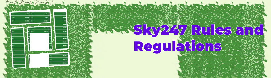 Correct score any other sky247 meaning