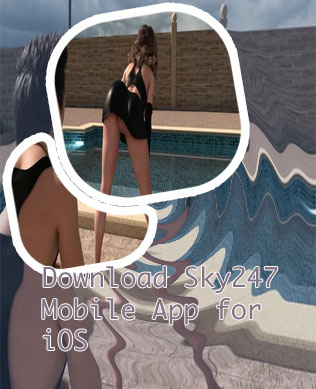 Sky247 shares